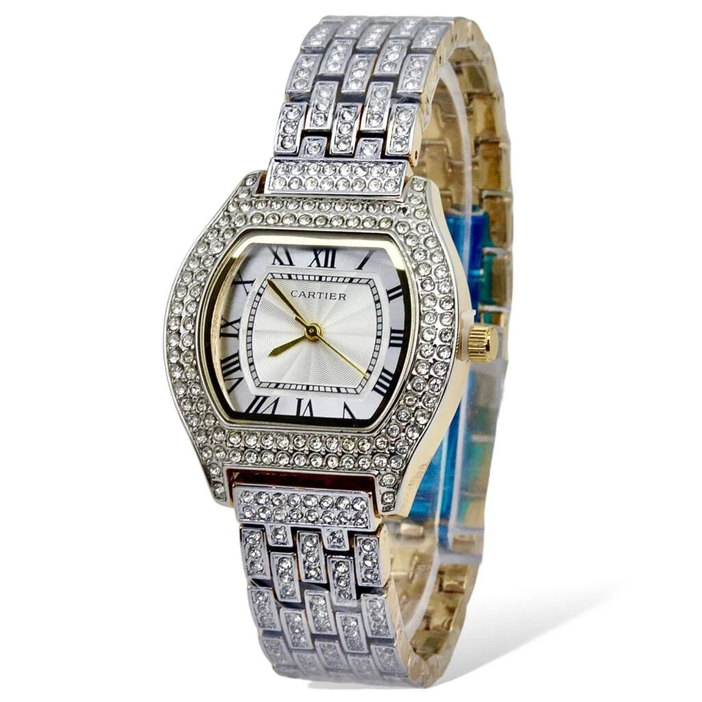 Female Watch – Stainless Steel – F-195